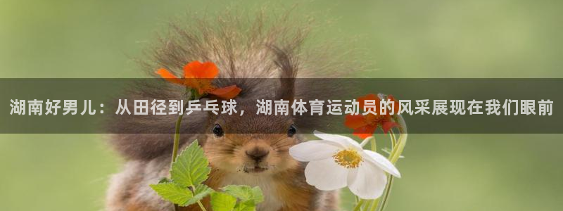 xc体育app官方网站