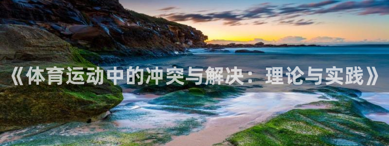 xc体育app官方网站：《体育运动中的冲突与解决：理论与实践》