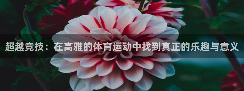 xc体育：超越竞技：在高雅的体育运动中找到真正的乐趣与意义