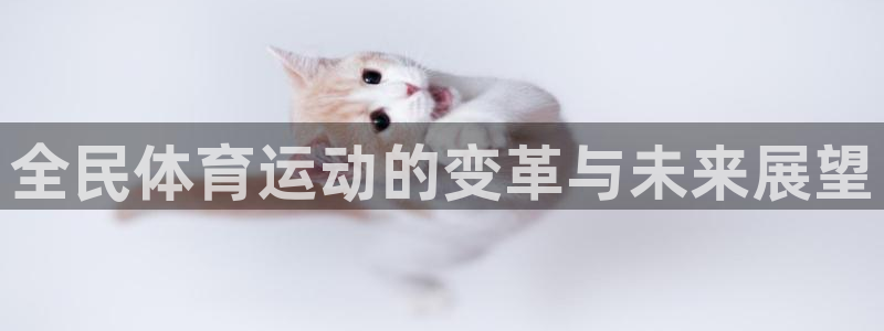 xc体育app官方网站：全民体育运动的变革与未来展望