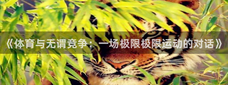 xc体育：《体育与无谓竞争：一场极限极限运动的对话》