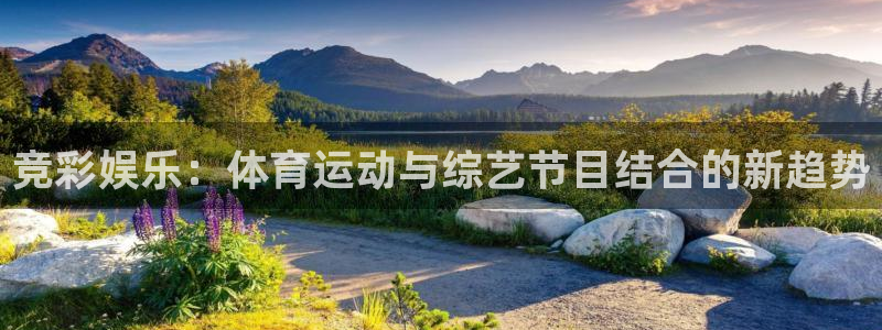 xc体育app官方网站：竞彩娱乐：体育运动与综艺节目结合的新趋势