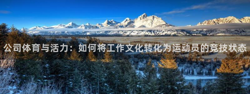 xc体育app官方网站：公司体育与活力：如何将工作文化转化为运动员的竞技状态